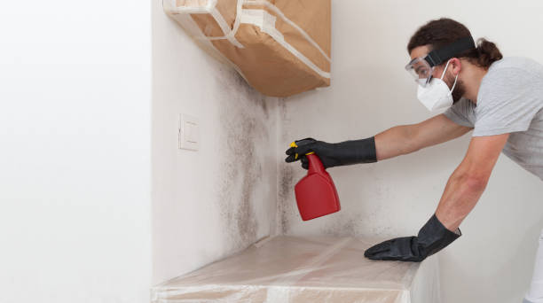 Professional Bathroom Mold Removal technician working in Hampton, MD