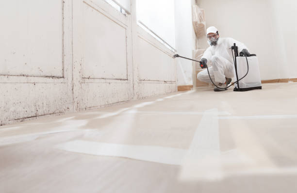 24/7 Emergency Bathroom Mold Removal experts in Hampton, MD