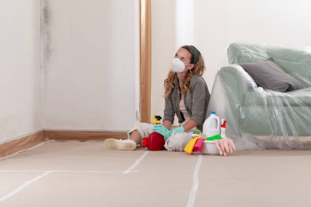 Reliable Bathroom Mold Removal contractor in Hampton, MD by Mold Remediation HQ