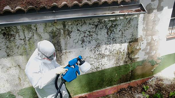 Top rated local Bathroom Mold Removal specialists in Hampton, MD